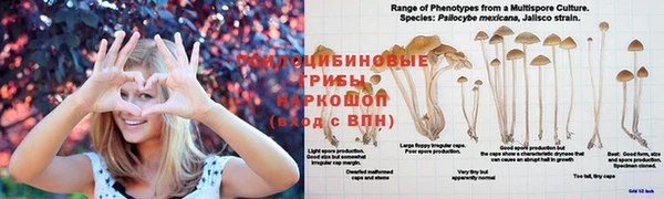 альфа пвп VHQ Баксан