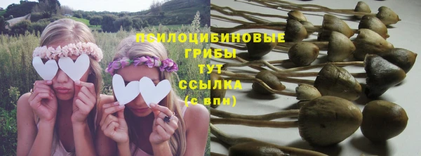 эйфоретик Балахна