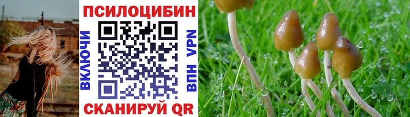 Галлюциногенные грибы мицелий Верхнеуральск